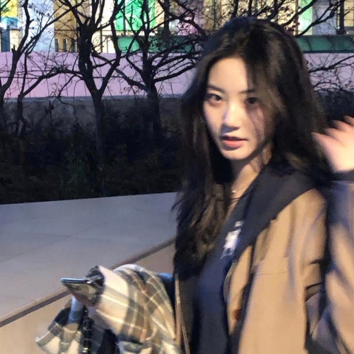 烟花女驼龙