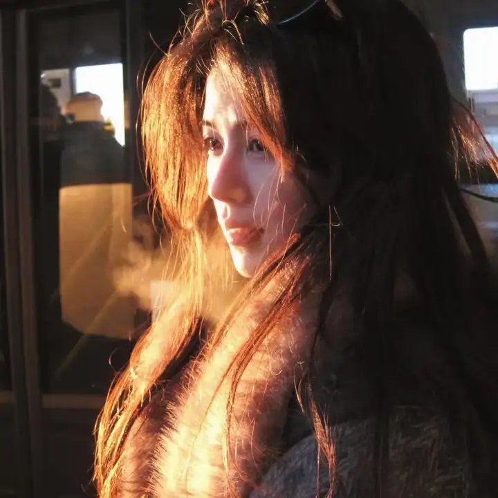 狐狸女士第二季